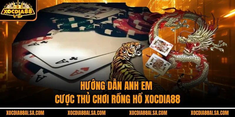 Hướng dẫn anh em cược thủ chơi rồng hổ xocdia88