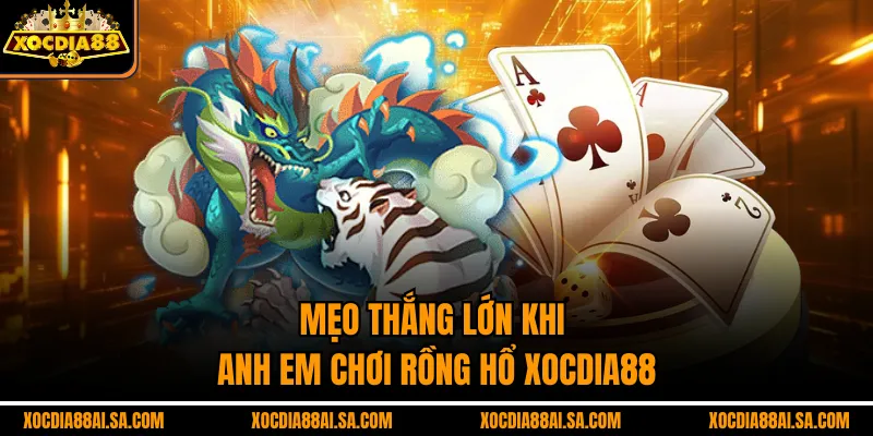 Mẹo thắng lớn khi anh em chơi rồng hổ xocdia88